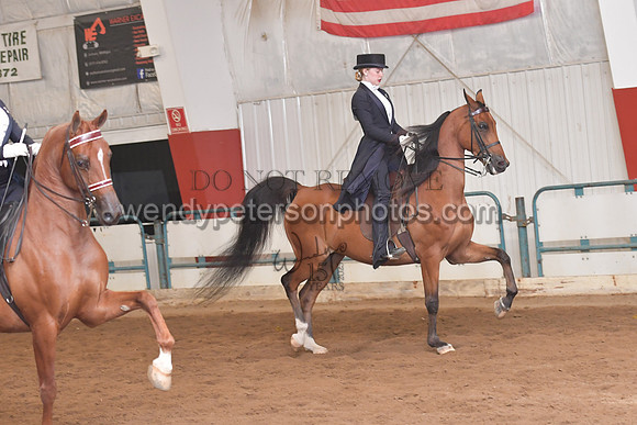 138_8187HighRes300dpi_PRINTto20%22