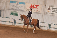 139 Arabian Hunter Pleasure Ladies & Gentlemen