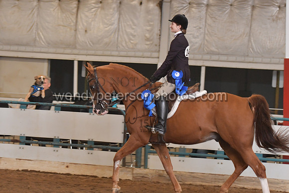 139_8223HighRes300dpi_PRINTto20%22