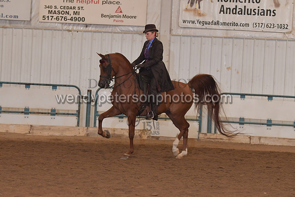 140_8226HighRes300dpi_PRINTto20%22