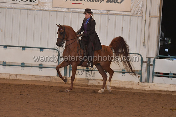 140_8225HighRes300dpi_PRINTto20%22