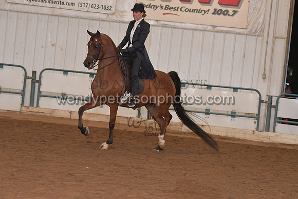 140_8228HighRes300dpi_PRINTto20%22