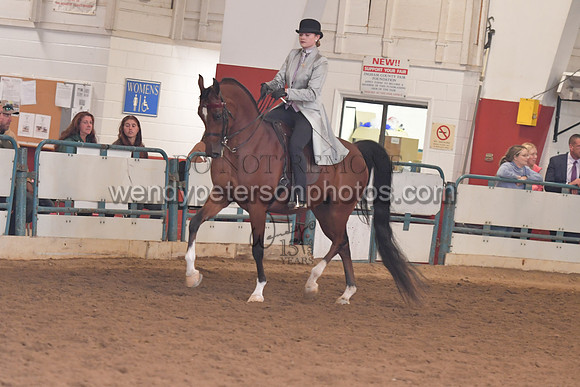140_8231HighRes300dpi_PRINTto20%22