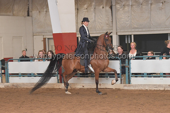 140_8234HighRes300dpi_PRINTto20%22