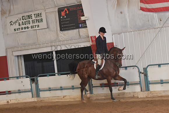 141_8253HighRes300dpi_PRINTto20%22