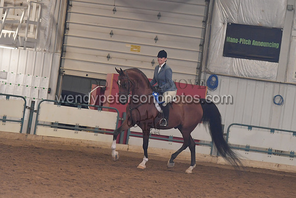 141_8260HighRes300dpi_PRINTto20%22