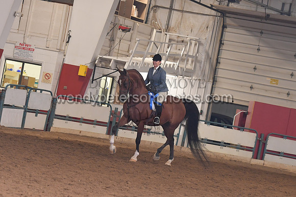 141_8261HighRes300dpi_PRINTto20%22