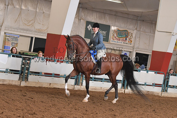 141_8263HighRes300dpi_PRINTto20%22