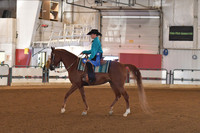 146 HA/AA Western Pleasure JTR