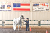 Showmanship & Performance Halter