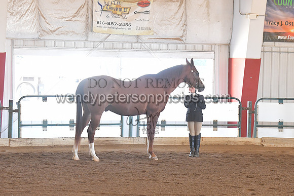 147_8435HighRes300dpi_PRINTto20%22