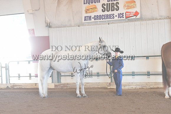 147_8438HighRes300dpi_PRINTto20%22