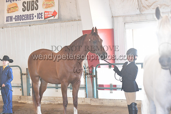147_8439HighRes300dpi_PRINTto20%22
