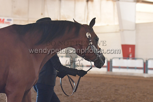 147_8451HighRes300dpi_PRINTto20%22