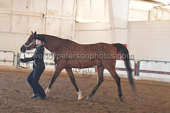 147_8452HighRes300dpi_PRINTto20%22