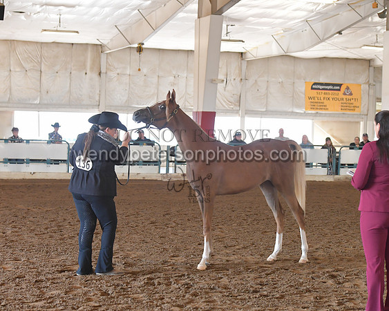 151_8528HighRes300dpi_PRINTto20%22