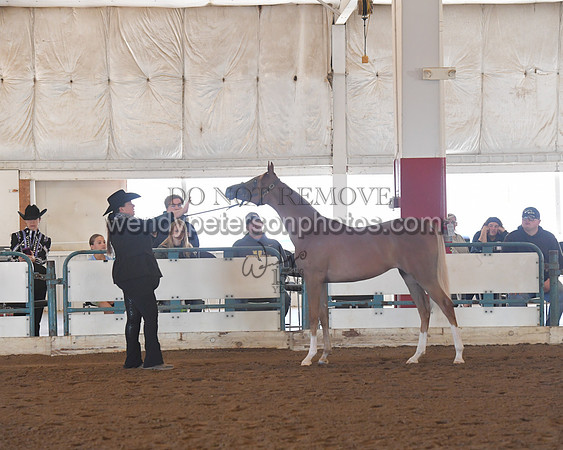 151_8526HighRes300dpi_PRINTto20%22