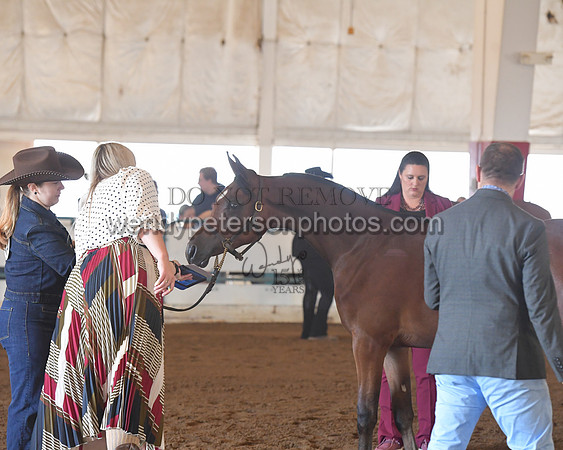 151_8523HighRes300dpi_PRINTto20%22