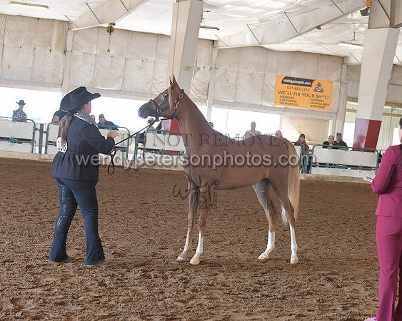 151_8529HighRes300dpi_PRINTto20%22