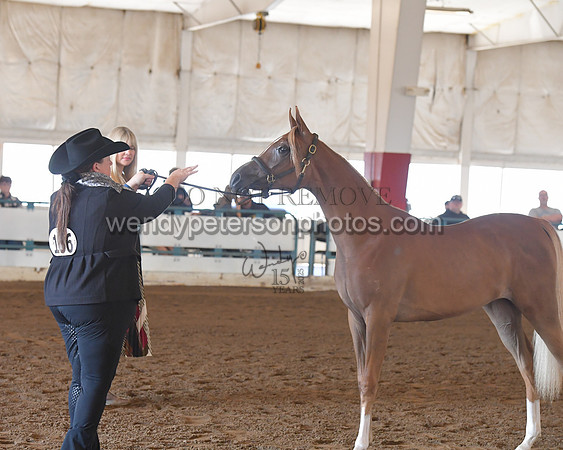151_8533HighRes300dpi_PRINTto20%22