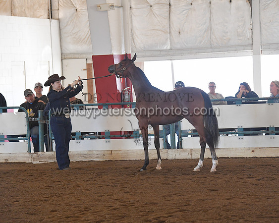 151_8536HighRes300dpi_PRINTto20%22