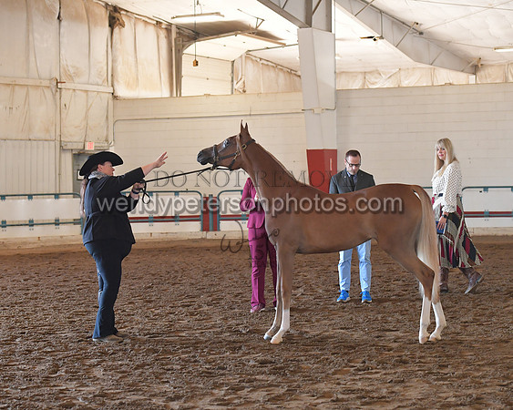 151_8534HighRes300dpi_PRINTto20%22