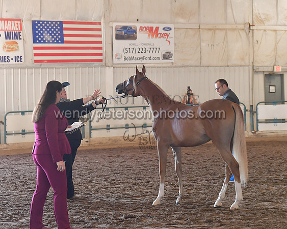 151_8535HighRes300dpi_PRINTto20%22