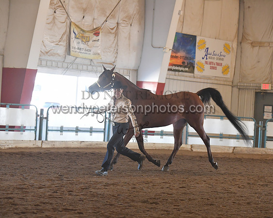 151_8543HighRes300dpi_PRINTto20%22