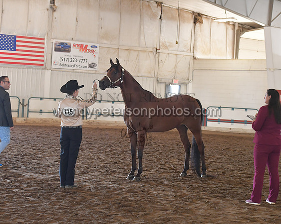 151_8546HighRes300dpi_PRINTto20%22