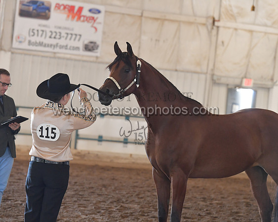 151_8548HighRes300dpi_PRINTto20%22