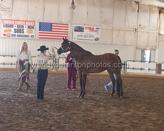 151_8549HighRes300dpi_PRINTto20%22