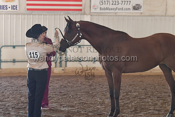 151_8551HighRes300dpi_PRINTto20%22