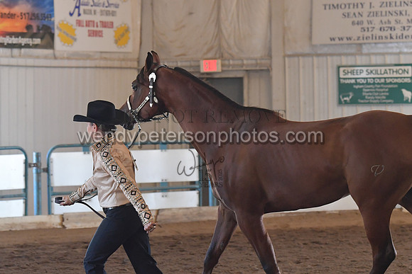 151_8553HighRes300dpi_PRINTto20%22