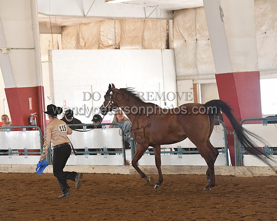 151_8558HighRes300dpi_PRINTto20%22