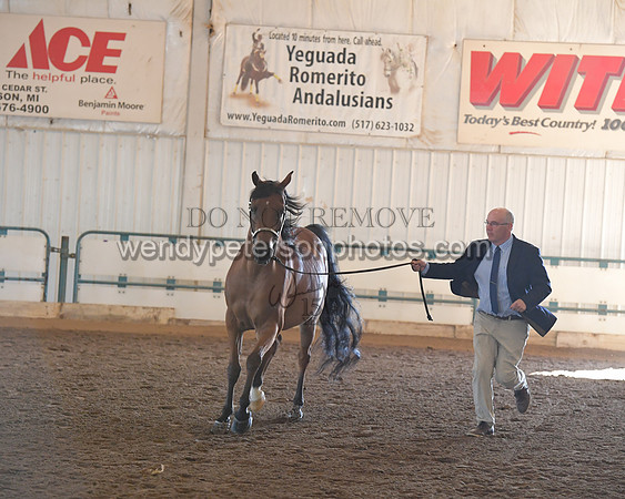 151_8560HighRes300dpi_PRINTto20%22