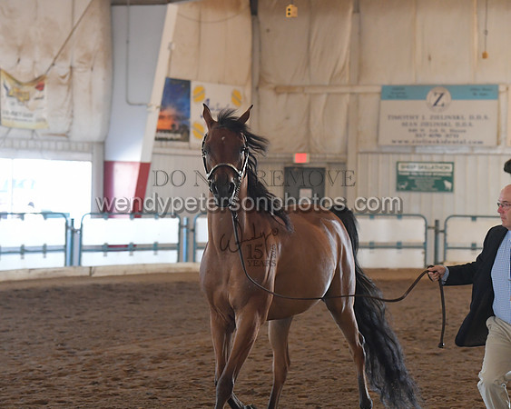 151_8561HighRes300dpi_PRINTto20%22