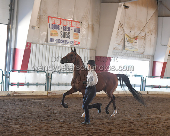 151_8562HighRes300dpi_PRINTto20%22