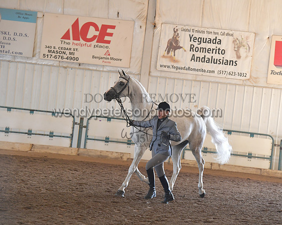 151_8563HighRes300dpi_PRINTto20%22