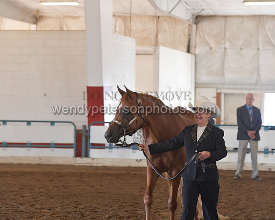 151_8566HighRes300dpi_PRINTto20%22