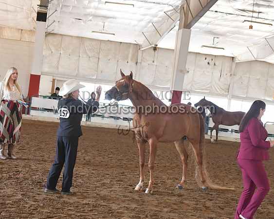 151_8568HighRes300dpi_PRINTto20%22