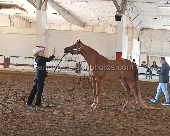 151_8571HighRes300dpi_PRINTto20%22