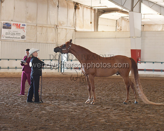 151_8572HighRes300dpi_PRINTto20%22
