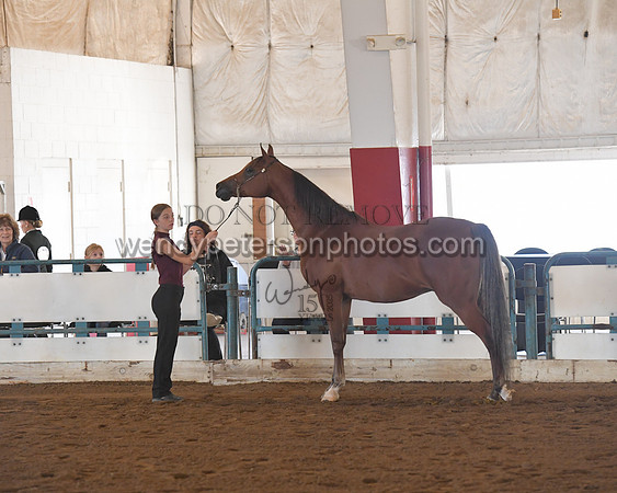 151_8575HighRes300dpi_PRINTto20%22