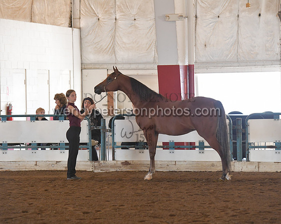 151_8576HighRes300dpi_PRINTto20%22