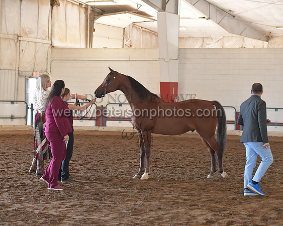 151_8579HighRes300dpi_PRINTto20%22
