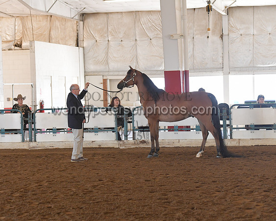 151_8583HighRes300dpi_PRINTto20%22