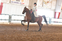 161 HA/AA Country Pleasure JTR 18 & Under
