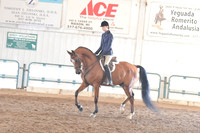 162 HA/AA Hunter Pleasure AA0TR 19-39