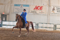 163 HA/AA English Pleasure AATR
