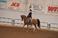 132 Arabian Hunter Pleasure ATR Select Rider
